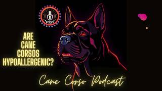 Is A Cane Corso Hypoallergenic [upl. by Bilow]