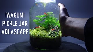 PICKLE JAR AQUARIUM  Portable Iwagumi Aquascape  no filter no heater walstad method setup [upl. by Ansel]