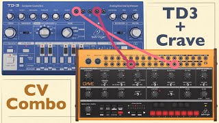 Behringer Crave  TD3 combination using CV tutorial Patch Ideas [upl. by Nnahtebazile]