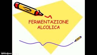 Fermentazione alcolica 20 [upl. by Pinto305]