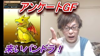 〔パズドラ〕アンケートゴッドフェス！狙うはパンドラのみ！ [upl. by Lledra]