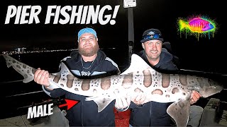 How To Catch FISH From ANY PIER  RIGS amp BAIT EPIC CATCHES [upl. by Ellekim589]