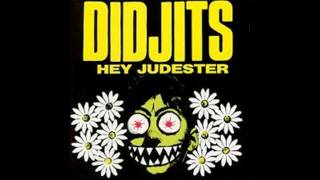 DidjitsHey Judester FULL VINYL [upl. by Arabel]