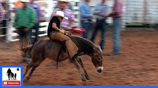 Donkey Riding 🤘 2021 Saints Roost Ranch Rodeo  Saturday [upl. by Naujik]