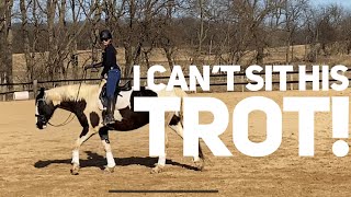 Improve riding your horses trot with these easy techniques [upl. by Aroved]