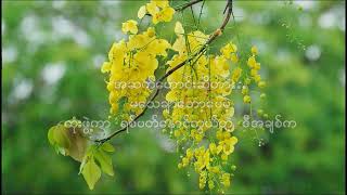 BA DIN ဘဒင် အဆက်ဟောင်း Lyrics Myanmar Song [upl. by Ausoj]