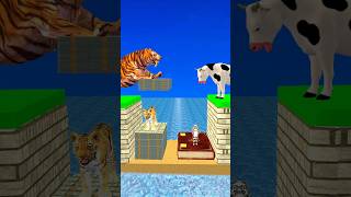 New Money vs Knowledge With Cartoon Cow vs Tiger What Do Choose Shorts Cartoon Viral [upl. by Assetnoc]