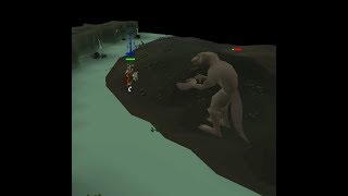 MidLevel Dagannoth Rex Guide solo  OSRS Slayer Task [upl. by Noremac]