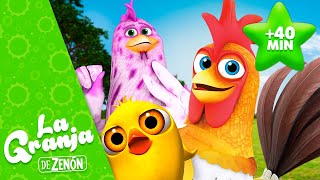 🐓 ¡A Cantar con Bartolito y Más Animales de La Granja de Zenón 2 🐤👨🏼‍🌾 La Granja de Zenón [upl. by Kerby618]