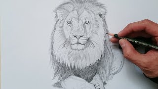 APRENDE cómo DIBUJAR un LEÓN realista PASO a PASO [upl. by Oicnevuj342]