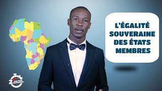 2 min pour comprendre lUnion Africaine [upl. by Auqinal]