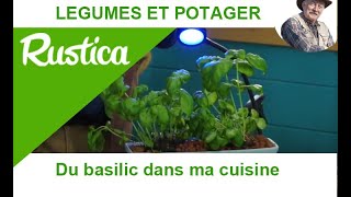 Du basilic dans ma cuisine [upl. by Leanora]