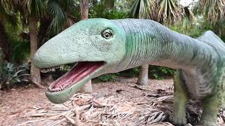 🔴LIVE at the ZOO World of Dinosaurs [upl. by Yregerg325]