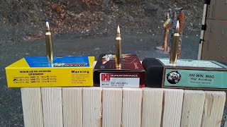 300 Win Mag 2x10 Penetration Test 2  Long range 200 yds Accubond TTSX SST [upl. by Eemia158]