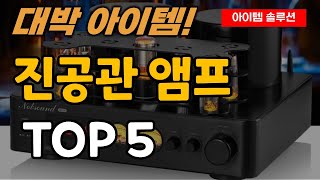 진공관 앰프 추천 순위 TOP5 [upl. by Terrye]