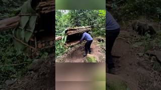 Make A Shelter Hanging On A Tree To Survive Alone In The Forest bushcraft camping camp building [upl. by Gulgee]