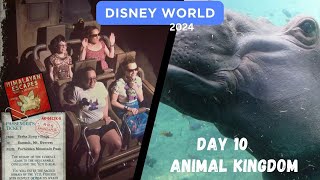 Disney World 2024 Animal Kingdom  Autism Family [upl. by Daly]