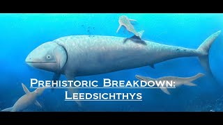 Prehistoric Breakdown Leedsichthys [upl. by Noirda350]