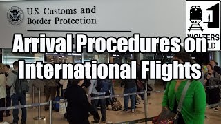 What is the Arrival Procedure on an International Flight [upl. by Redfield707]