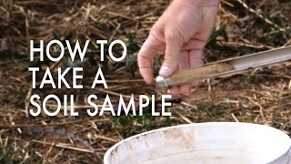 How to Take a Soil Sample [upl. by Anahsit]