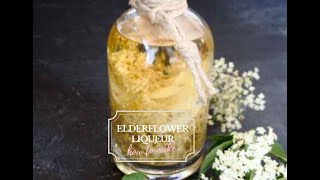 How to make delicate Elderflower liqueur [upl. by Heeley]