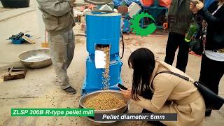 What is small pellet machine used for make biomass pellet [upl. by Iverson]