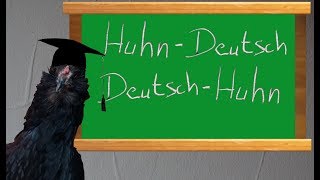 Die Hühnersprache [upl. by Imoin675]