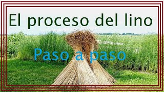 Proceso del lino ¡¡¡PASO A PASO [upl. by Seuguh]