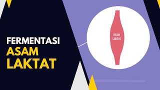 Apa itu Fermentasi Asam Laktat [upl. by Harret]