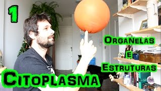 Organelas Citoplasmáticas Parte 1  Citoplasma [upl. by Yanahs]