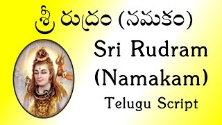 శ్రీ రుద్రం నమకం  Sri Rudram Namakam  Telugu Script  Yajur Veda  Sri K Suresh [upl. by Esiled]