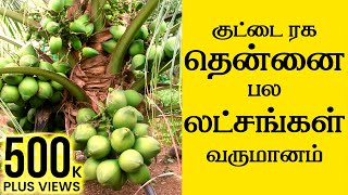 Thennai Maram Valarpu Tamil  தென்னையில் அதிக லாபம் பெற சிறந்த வழிகள்  Coconut Cultivation [upl. by Anilehcim]