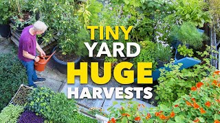 Tiny Yard Container Garden How to Grow 1000 of Food [upl. by Nnylyoj]