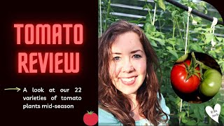 Tomato Review  A look at 22 varieties of tomato plants midseason [upl. by Adlih619]