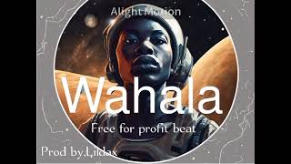 FREE FOR PROFIT Shallipopi ft Odumudublvck ft Zerrydl type Afro amapiano beatquotWahalaquot [upl. by Oinimreh]