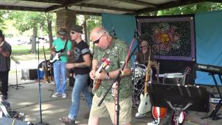 Black Stone Cherry  Cant You See  Neighborhood Picnic Band 2016 [upl. by Rich]