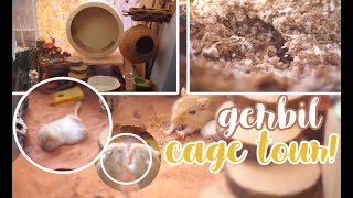 Gerbil Cage Tour [upl. by Yemaj282]