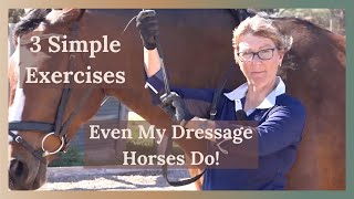 Groundwork for horses 3 simple exercises [upl. by Uziel]