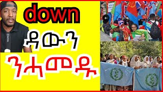 ህግደፍ ዳውን ዳውን ይላመድ ኣብ ኢንግሊዝ  Yikealo Tv [upl. by Nauqram]