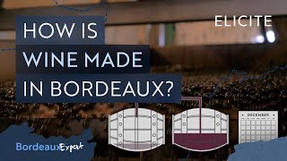 Red Winemaking in Bordeaux Explained [upl. by Travis]