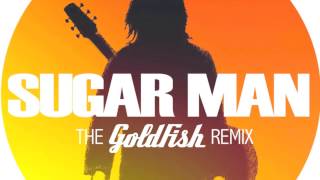 Sugar man by Rodriguez The Goldfish remix [upl. by Agnes]