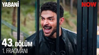 Yabani 43 Bölüm 1 Fragmanı [upl. by Shipp]