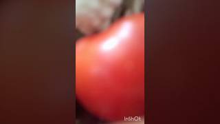 Mix Veg Recipe😋😋😋 ytshorts food cooking 😋😋 [upl. by Komara]