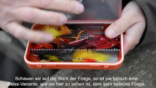 Tipps und Tricks zur Nutzung der Ausrüstung zum Fliegenfischen am Fluss Skjern Å [upl. by Ydnamron]