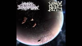 Carnal Diafragma  Unchallenged Hate Napalm Death Cover HQ [upl. by Draillih]