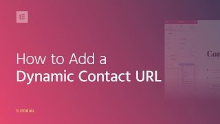 How to Use the Dynamic Contact URL on Your WordPress Website [upl. by Ahsienat]