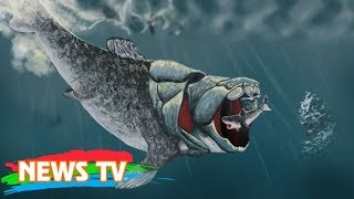 Cá Dunkleosteus quotKẻ hủy diệtquot của kỷ Devon [upl. by Melvena]