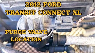 How to find canister purge valve in 2012 ford transit connect xl [upl. by Hulton]