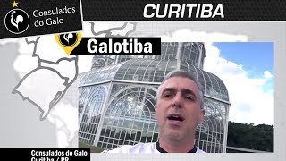 Consulados do Galo  Galotiba  CuritibaPR [upl. by Flip]