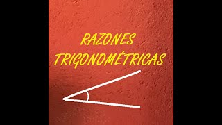 RAZONES TRIGONOMÉTRICAS [upl. by Carmelle465]